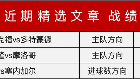 加拉塔萨雷教练因不当言论被控损害足球声誉